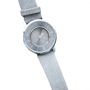 Spring Watch Grey